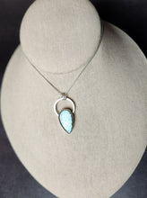 Load image into Gallery viewer, Phish - Bug with labradorite