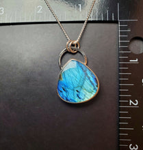 Load image into Gallery viewer, Phish - Evolve with labradorite
