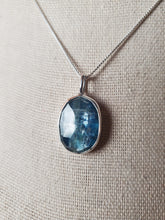 Load image into Gallery viewer, Phish - Waste with rose-cut kyanite
