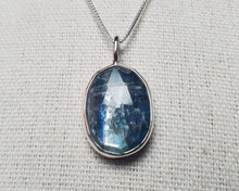 Load image into Gallery viewer, Phish - Waste with rose-cut kyanite
