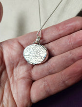 Load image into Gallery viewer, Phish - Theme from the Bottom with labradorite [pendant only]
